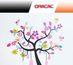 Oracal 638 Bianco-Nero-Trasparente 63cm